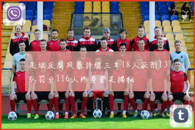 足坛反腐风暴持续三年18人获刑13队罚分116人终身禁足揭秘